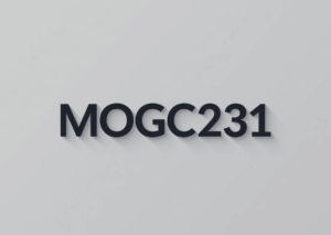 MOGC 231: introdotto nel catalogo dei reati presupposto i delitti contro la politica estera e la sicurezza comune dell’Unione europea. 